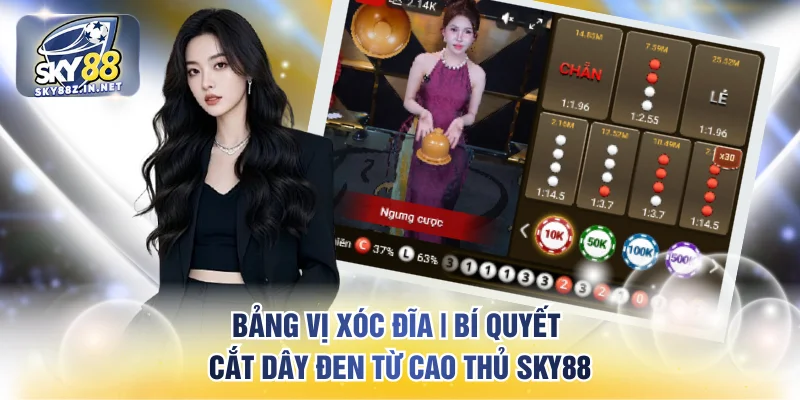 bảng vị xóc đĩa