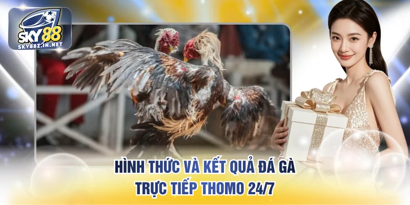 Hình thức và kết quả đá gà trực tiếp Thomo 24/7
